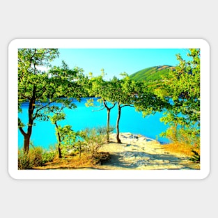 View at Lago di Fiastra with oak trees, trunks, foliage, sunlight, waters and the Sibillini Sticker